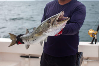 Guided Fishing Trip on Jordan Lake and Shearon Harris Reservoir