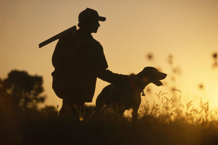 Guided quail hunting in Patagonia Arizona with expert dogs