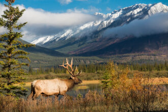 Ontario hunting outfitter black bear fishing trip