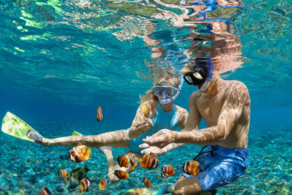 Go Adventure Hawaii shark dives, fishing charters, snorkeling, sunset cruises, whale watching
