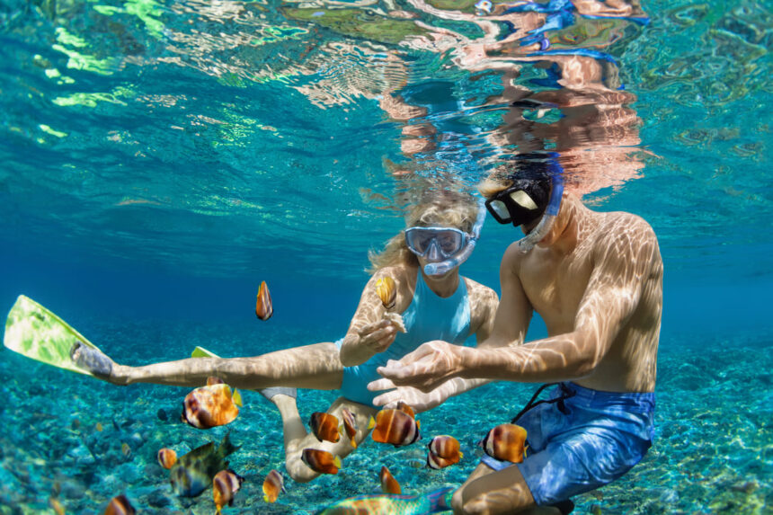 Go Adventure Hawaii shark dives, fishing charters, snorkeling, sunset cruises, whale watching