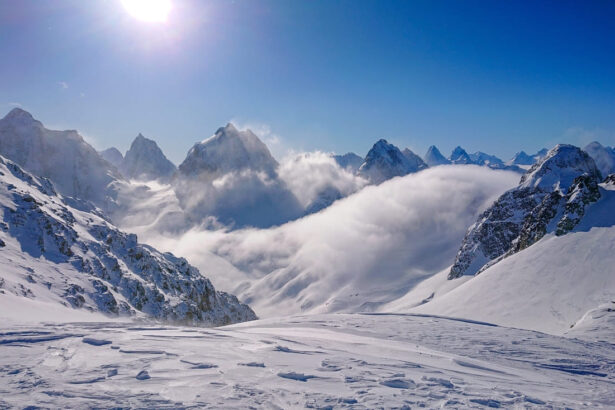 Mountain Goat Hunts and Bear Hunts in British Columbia