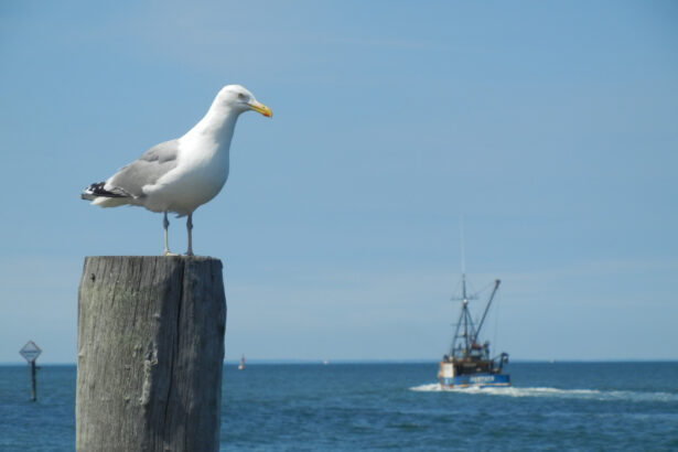 Inshore fishing trip with Moondance Charters in Montauk, New York