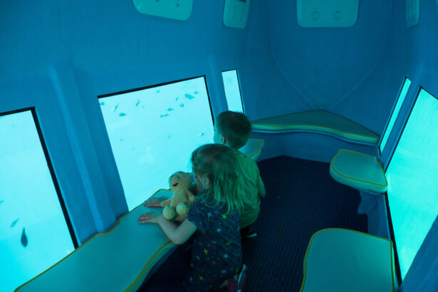 Children enjoying underwater exploration on glass bottom boat in Redondo Beach, CA