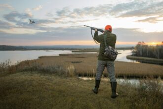 Waterfowl and goose hunting experience in Wheatley, Arkansas