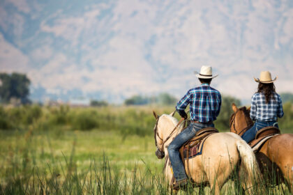 Horseback riding near Yellowstone in Pray, Montana with Horsetrack Outfitters