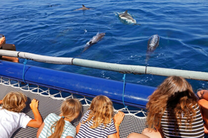 Family dolphin watching with Panama City pontoon charters in Florida