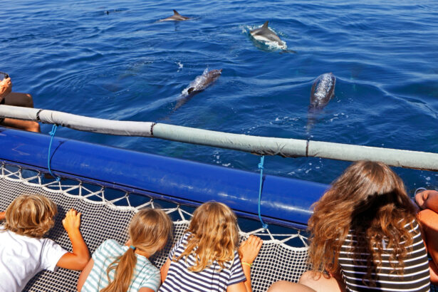 Family dolphin watching with Panama City pontoon charters in Florida