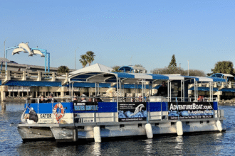 Dolphin Tours Stuart Florida