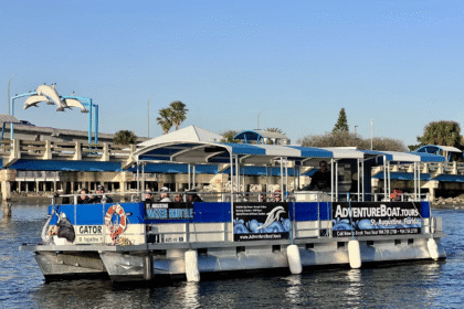 Dolphin Tours Stuart Florida