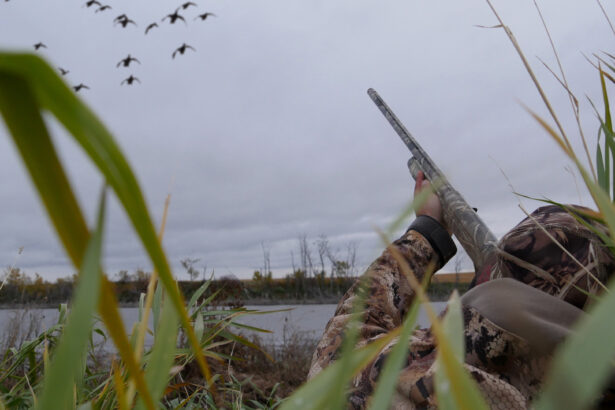 duck hunting in AR flooded timber Wheatly at sunrise