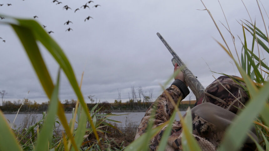 duck hunting in AR flooded timber Wheatly at sunrise