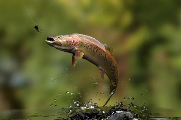 Guided Fishing for rainbow trout in Branson MO